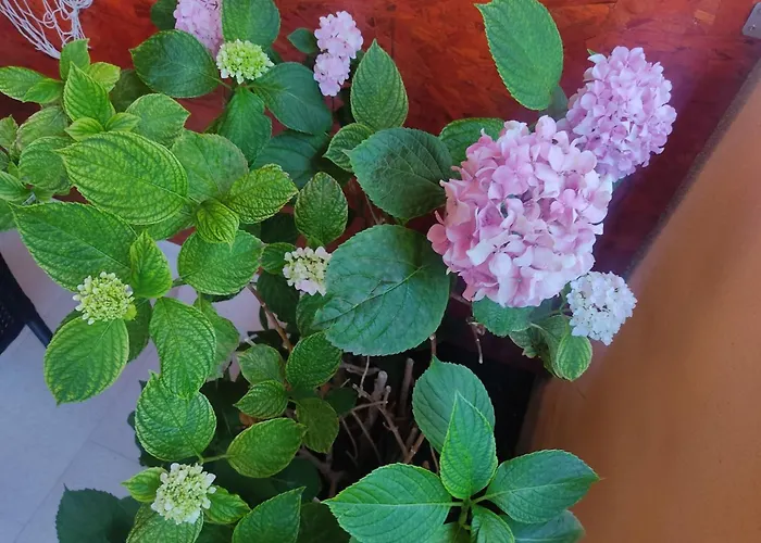 Porat 2 With Private Terrace - Db With Private Terrace